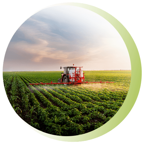 BP WEB SECCIÓN AGROPECUARIO